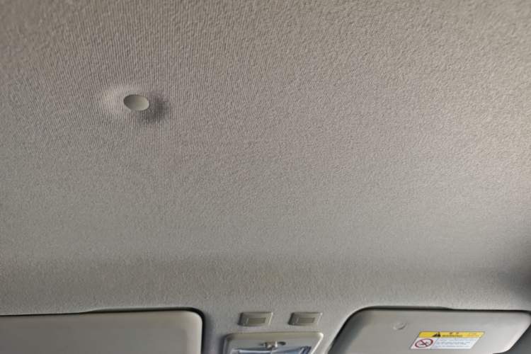 Used ORA Black Cat 2021 301km Cute Pet Edition Headliner