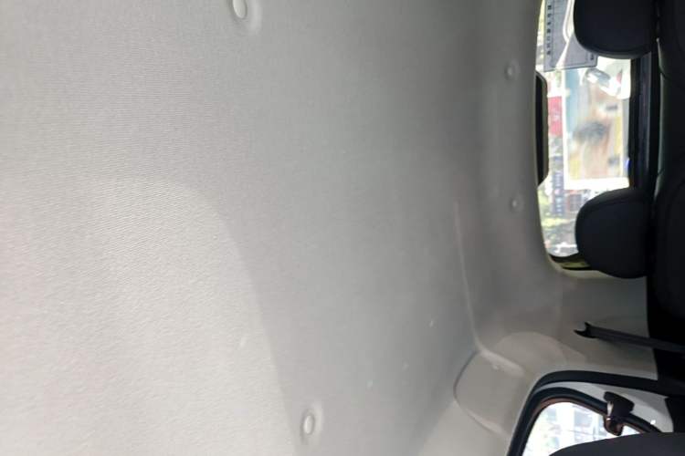 Used ORA Black Cat 2021 301 km Basic Version Headliner