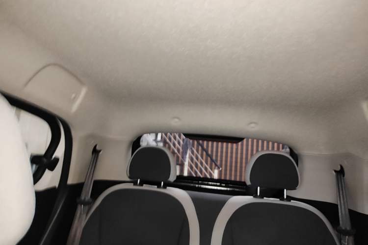 Used ORA Black Cat 2021 301km Cute Pet Edition Headliner