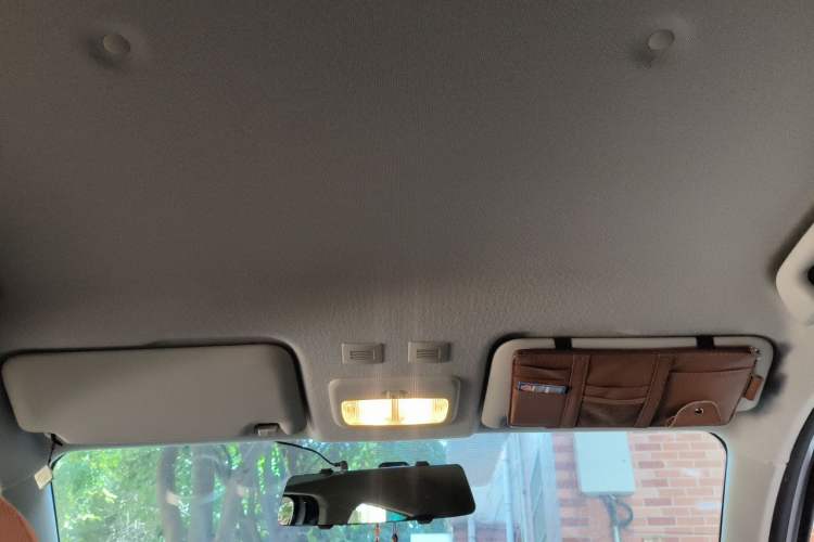 Used ORA Black Cat 2021 351 km Standard Version Headliner