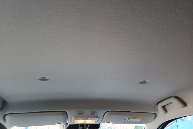 Used ORA Black Cat 2021 405 km Long-Range Version Headliner