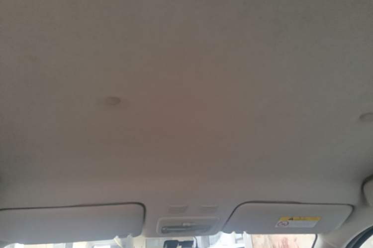 Used ORA Black Cat 2021 301 km Basic Version Headliner