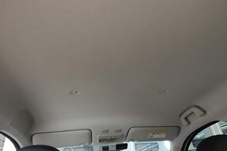 Used ORA Black Cat 2021 351 km Standard Version Headliner