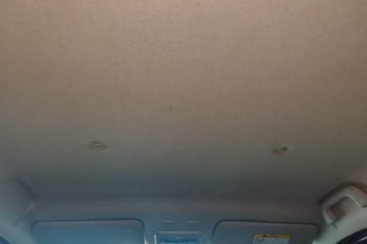 Used ORA Black Cat 2021 351 km Standard Version Headliner