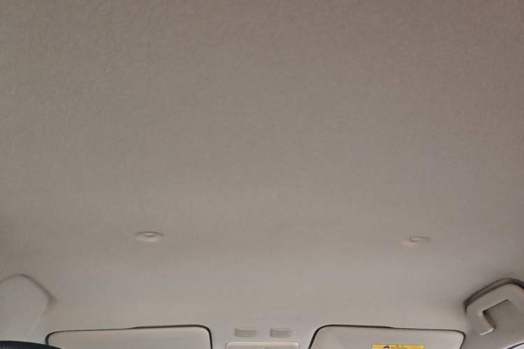 Used ORA Black Cat 2021 351 km Luxury Version Headliner