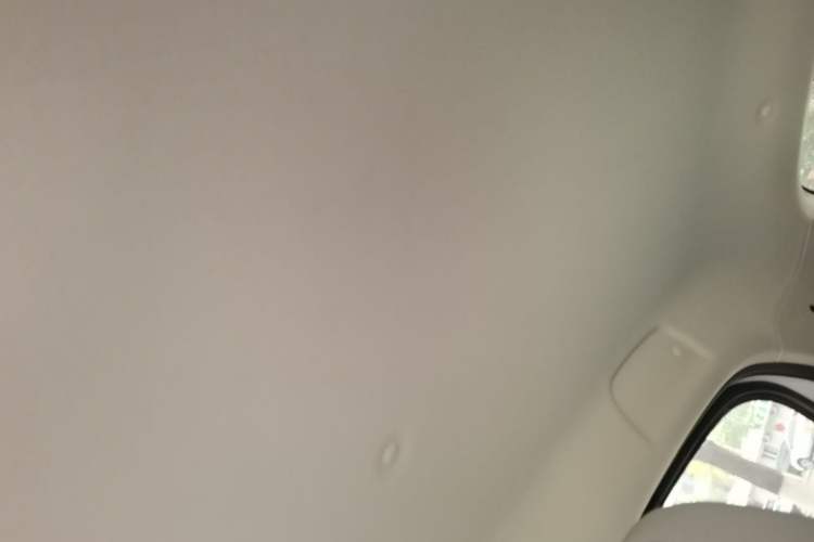 Used ORA Black Cat 2021 301 km Basic Version Headliner