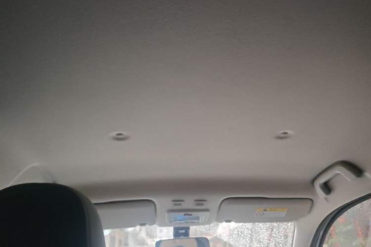 Used ORA Black Cat 2021 301km Cute Pet Edition Headliner