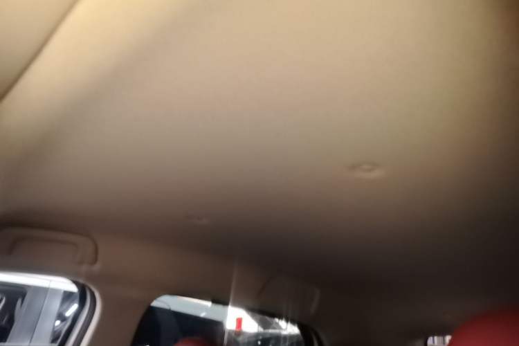 Used ORA Black Cat 2021 301 km Basic Version Headliner