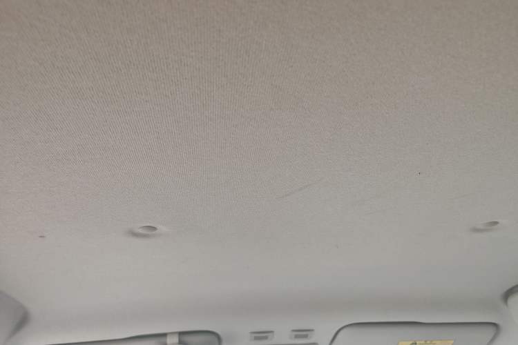 Used ORA Black Cat 2021 301 km Basic Version Headliner