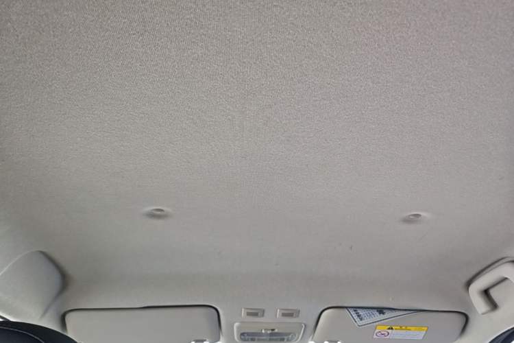 Used ORA Black Cat 2021 351 km Standard Version Headliner