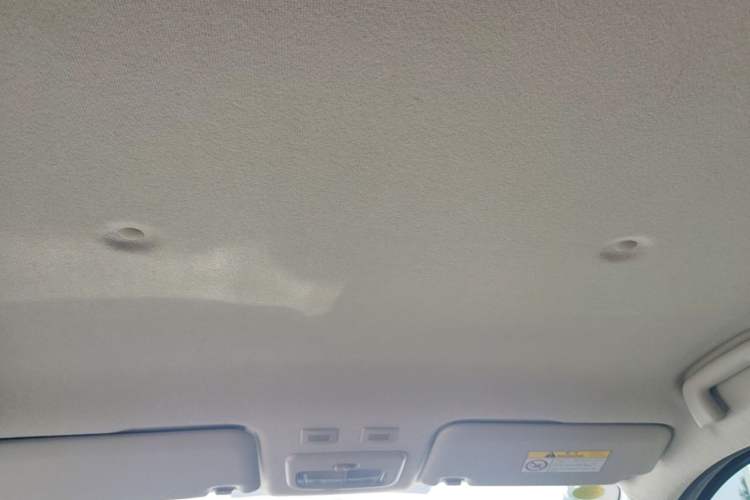 Used ORA Black Cat 2021 351 km Standard Version Headliner
