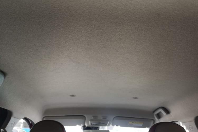 Used ORA Black Cat 2021 351 km Luxury Version Headliner
