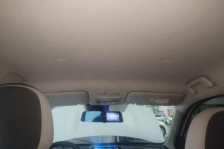 Used ORA Black Cat 2021 351 km Standard Version Headliner