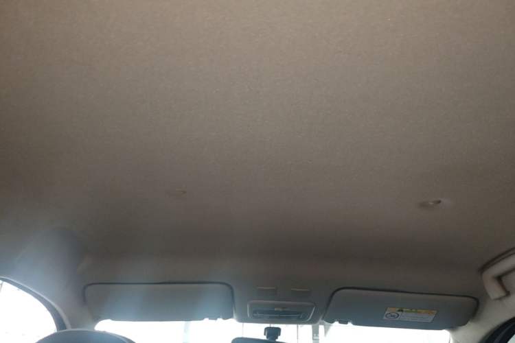 Used ORA Black Cat 2021 301 km Basic Version Headliner