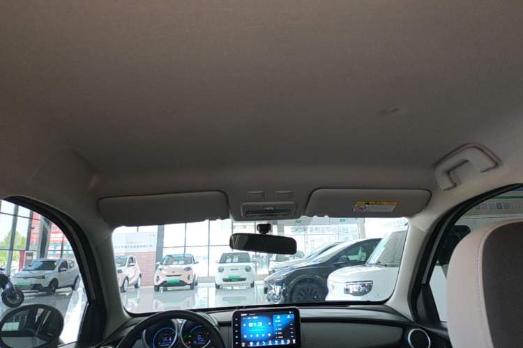 Used ORA Black Cat 2021 301 km Basic Version Headliner