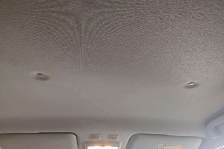 Used ORA Black Cat 2021 351 km Luxury Version Headliner