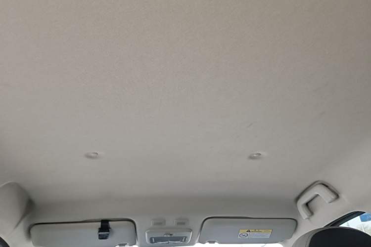 Used ORA Black Cat 2021 301 km Basic Version Headliner