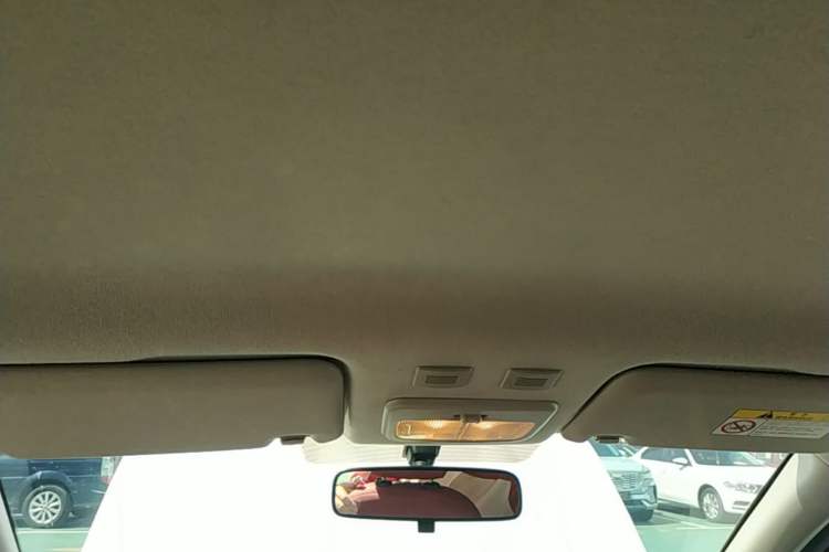 Used ORA Black Cat 2021 301km Cute Pet Edition Headliner