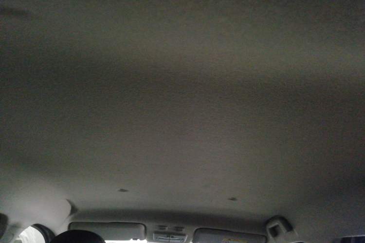 Used ORA Black Cat 2021 351 km Standard Version Headliner