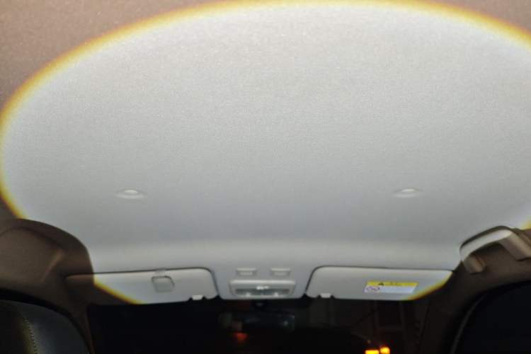 Used ORA Black Cat 2021 301km Cute Pet Edition Headliner