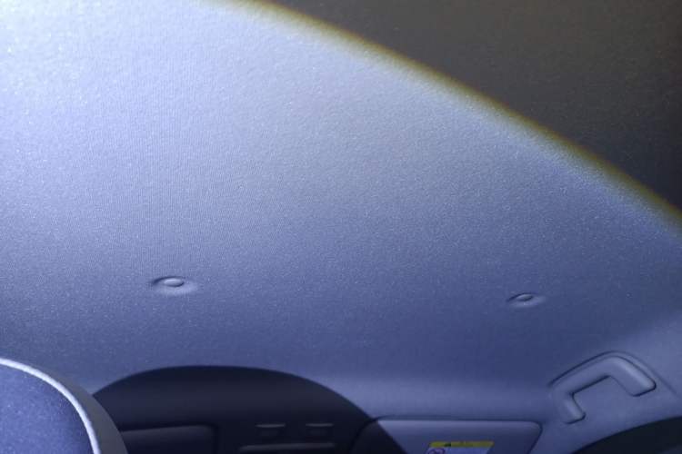 Used ORA Black Cat 2021 351 km Luxury Version Headliner