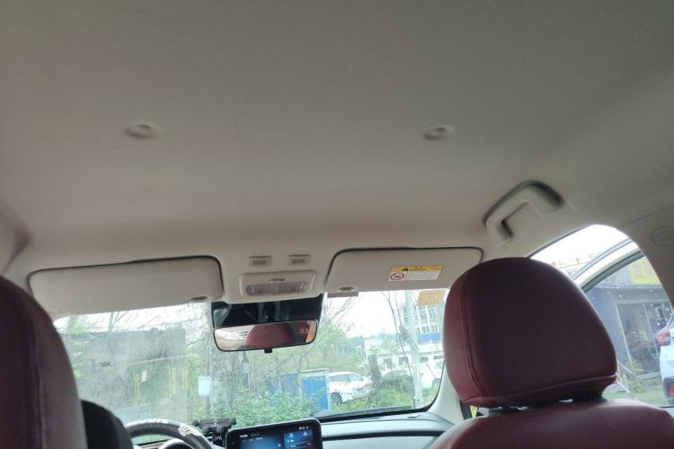 Used ORA Black Cat 2021 405 km Long-Range Version Headliner