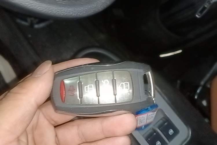 Used ORA Black Cat 2021 301km Cute Pet Edition Interior 1