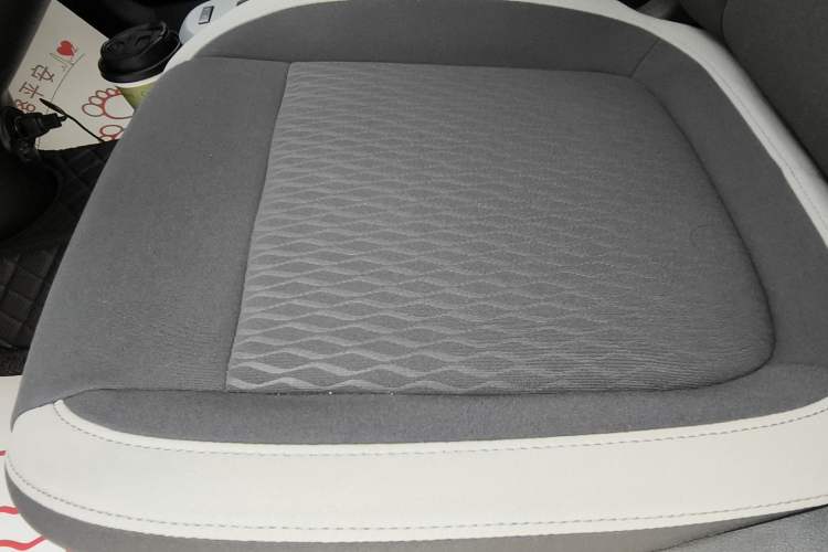 Used ORA Black Cat 2021 301 km Basic Version Interior 13