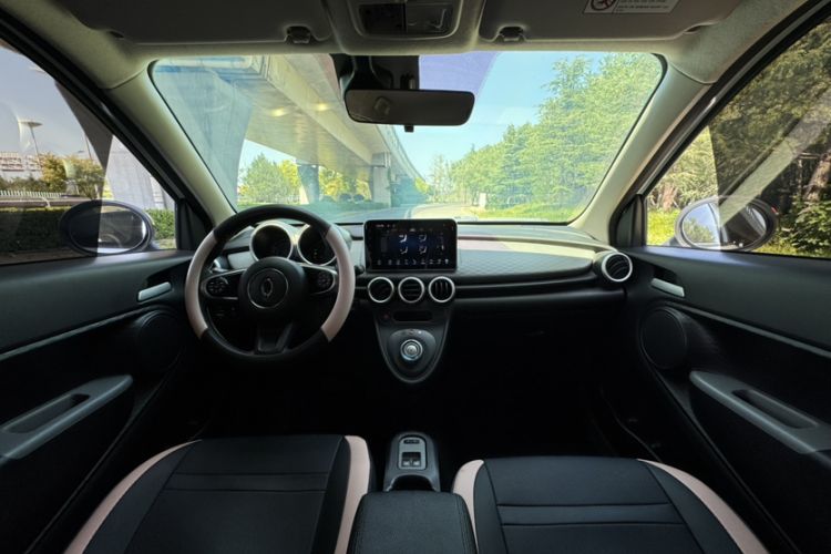 Used ORA Black Cat 2021 351 km Luxury Version Interior 4