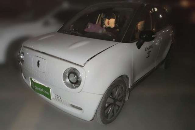 Used ORA Black Cat 2021 351 km Luxury Version