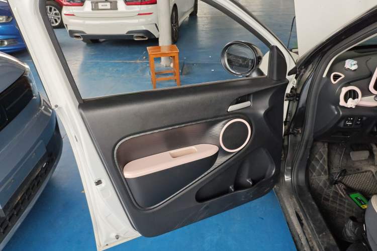 Used ORA Black Cat 2021 351 km Luxury Version Left Front Door Interior