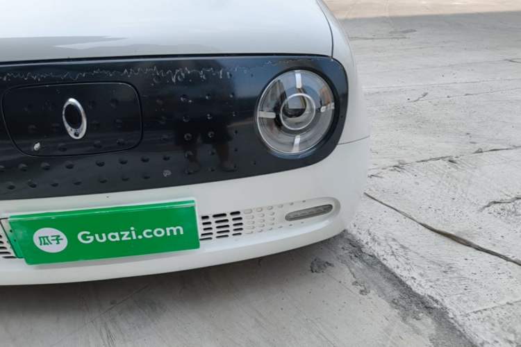 Used ORA Black Cat 2021 351 km Standard Version Left Front Headlight