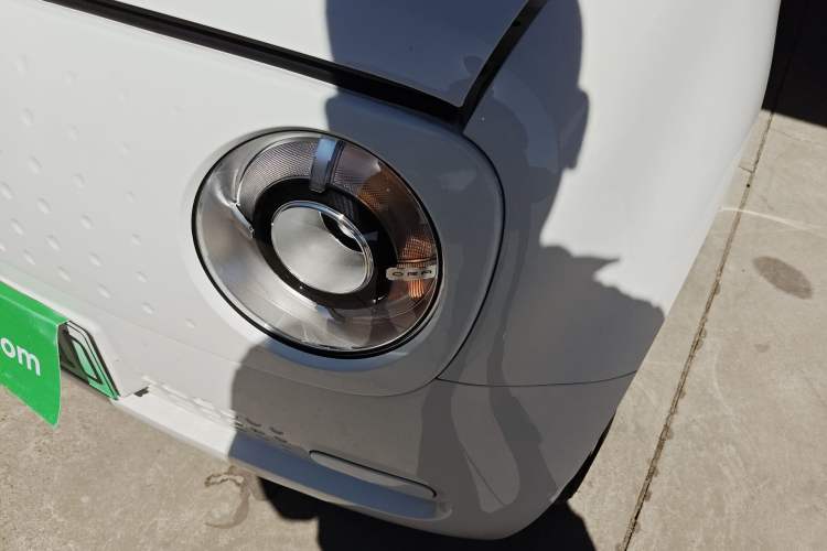 Used ORA Black Cat 2021 301km Cute Pet Edition Left Front Headlight