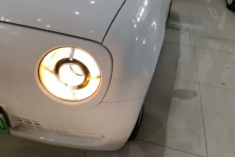 Used ORA Black Cat 2021 301km Cute Pet Edition Left Front Headlight