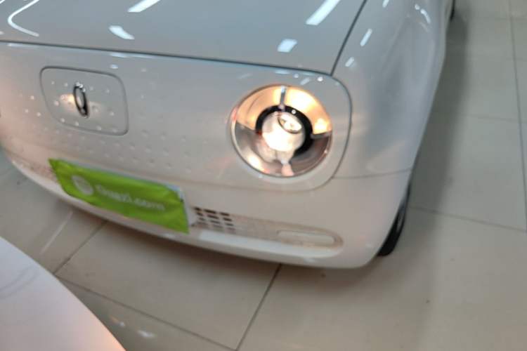Used ORA Black Cat 2021 301km Cute Pet Edition Left Front Headlight