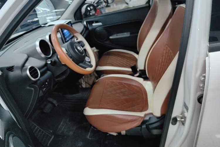 Used ORA Black Cat 2021 301km Cute Pet Edition Left Front Seat