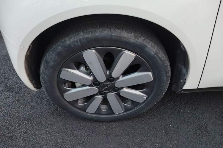 Used ORA Black Cat 2021 351 km Luxury Version Left Front Wheel Hub