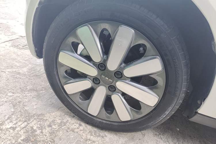 Used ORA Black Cat 2021 351 km Luxury Version Left Front Wheel Hub