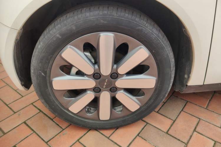 Used ORA Black Cat 2021 351 km Standard Version Left Front Wheel Hub