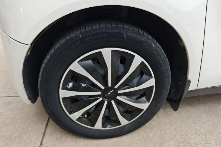 Used ORA Black Cat 2021 301km Cute Pet Edition Left Front Wheel Hub