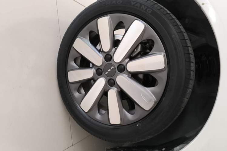 Used ORA Black Cat 2021 351 km Standard Version Left Front Wheel Hub