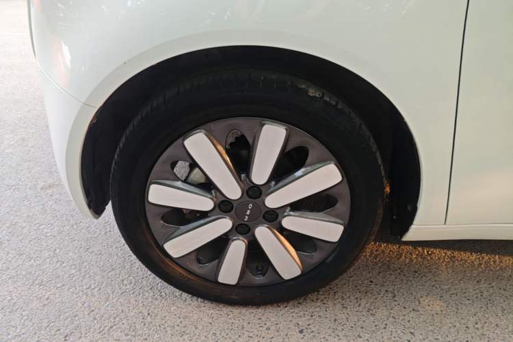 Used ORA Black Cat 2021 351 km Luxury Version Left Front Wheel Hub