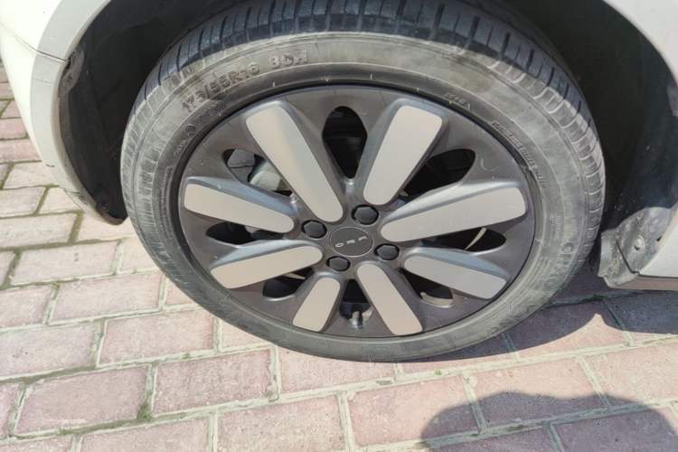 Used ORA Black Cat 2021 301km Cute Pet Edition Left Front Wheel Hub