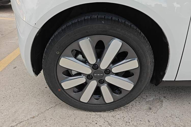 Used ORA Black Cat 2021 351 km Luxury Version Left Front Wheel Hub