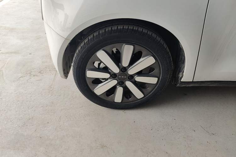 Used ORA Black Cat 2021 351 km Standard Version Left Front Wheel Hub