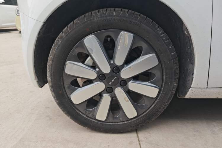 Used ORA Black Cat 2021 351 km Luxury Version Left Front Wheel Hub