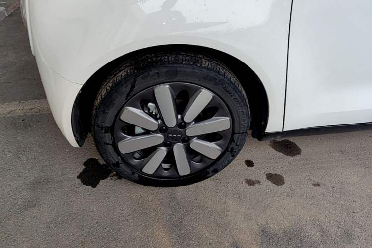 Used ORA Black Cat 2021 351 km Standard Version Left Front Wheel Hub