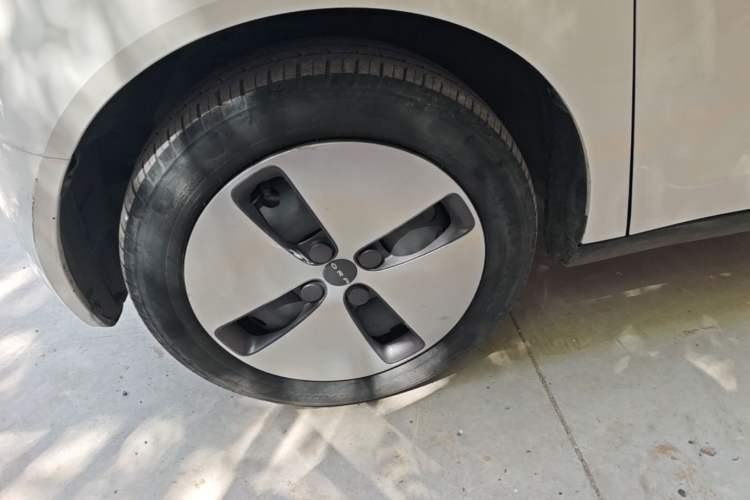 Used ORA Black Cat 2021 301km Cute Pet Edition Left Front Wheel Hub