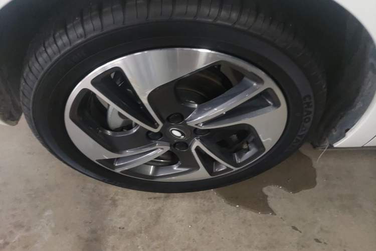 Used ORA Black Cat 2021 351 km Luxury Version Left Front Wheel Hub