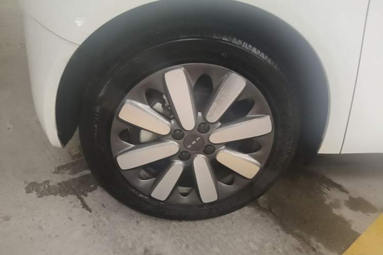 Used ORA Black Cat 2021 351 km Standard Version Left Front Wheel Hub